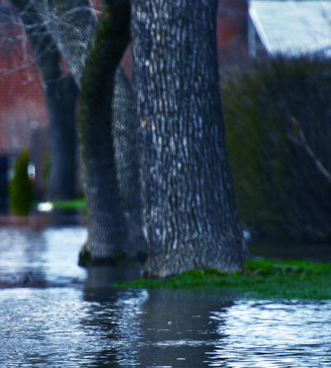 Heavy Rain and Flooding